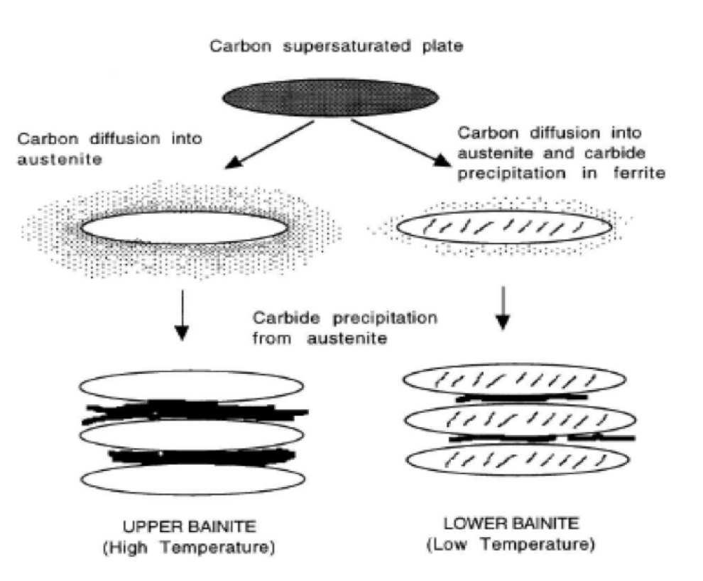 Figure 2.2: Main differences in carbon partitioning and precipitation Figure 2.