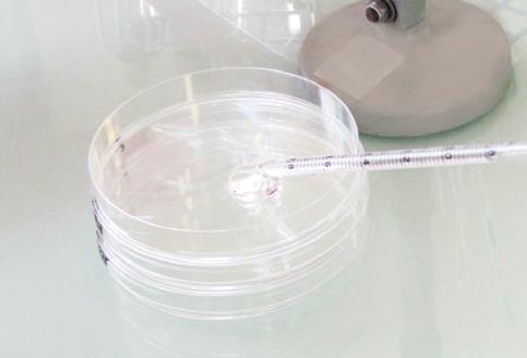 The pour plate technique is usually carried out in Petri dishes : 1 - In aseptic conditions, place 1 ml of stock suspension and its dilutions, if necessary, at the bottom of an empty Petri dish.