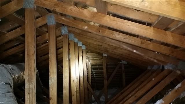 D. Roof Structures and Attics Comments: