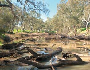 Campaspe region > Campaspe River near Goornong, Vic The Campaspe region is in northern Victoria and covers 0.4 percent of the total area of the Murray-Darling Basin (MDB).