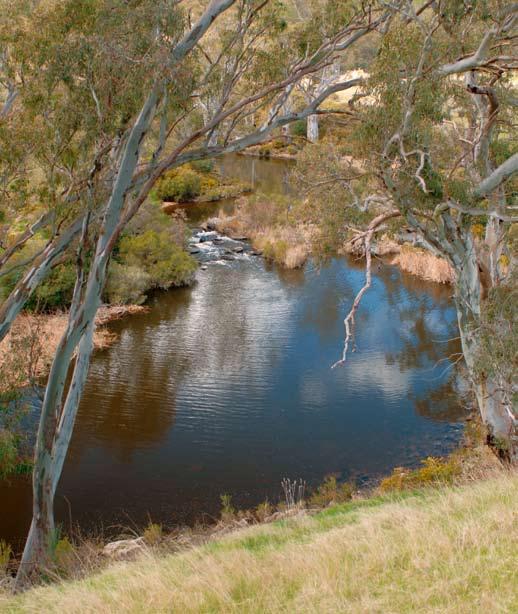 Under the wet 2030 climate extreme, average surface water availability would be reduced by 4 percent and end-of-system flows at Echuca would be reduced by 10 percent.