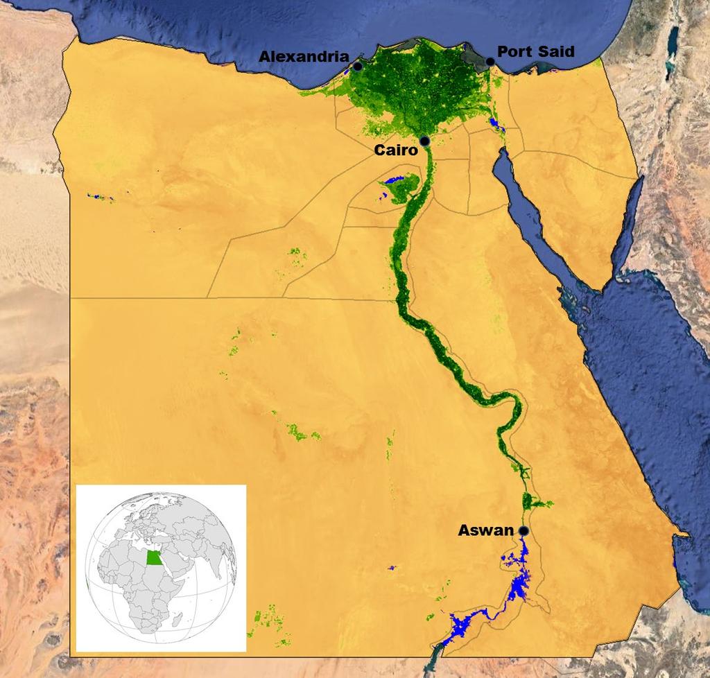Egypt Desert Vegetation Landsat