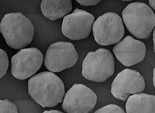 PhD Thesis- Fig. xx: SEM image demonstrating whole section of TAP-425 pellets Fig.