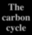 The carbon cycle Open burning Photosynthesis Respiration Atmospheric CO2 Respiration Fuel Combustion Fuel Combustion Photosynthesis Dissolved CO2 Respiration Death and decay