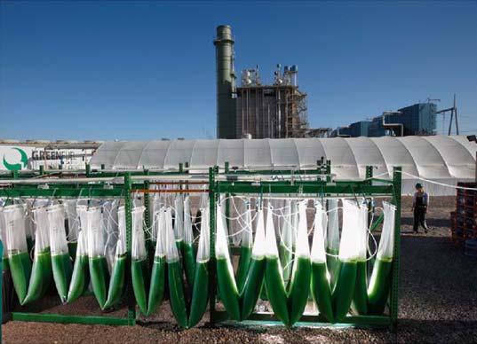 Algae Feedstock Use Algae to consume CO 2 from Consumes CO 2 in a continuous production processes process using exhaust from power Algae becomes feedstock for the plant (40% CO 2 and 86 % NO)