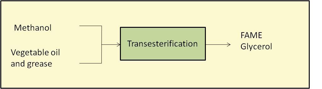 Process Transesterification Transesterification process is the treatment of vegetable oil with an alcohol and a catalyst to produce esters and glycerol.