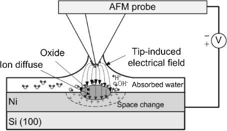 The possible chemical reactions at the AFM/water interface and the Ni/water interface are described as follows: AFM tip/water interface 2H þ þ 2e ¼ H 2 ð1þ Ni/water interface Ni þ 2H 2 O ¼ NiO 2 þ 4H