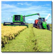 For transporting the grain and other fractions inside the combine and