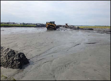 Trial Projects Ring Island Shorebird Nesting Habitat Creation Aug Sept 2014 Goal: Elevate marsh above mean high tide to