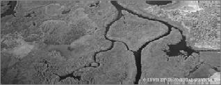 Erosion Control 4 5 5 Detrital