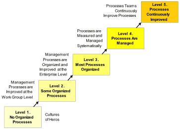 The Software Engineering Institute (SEI) at Carnegie Mellon University started it all off in 1995 with the publication of The Capability Maturity Model: Guidelines for Improving the Software Process.