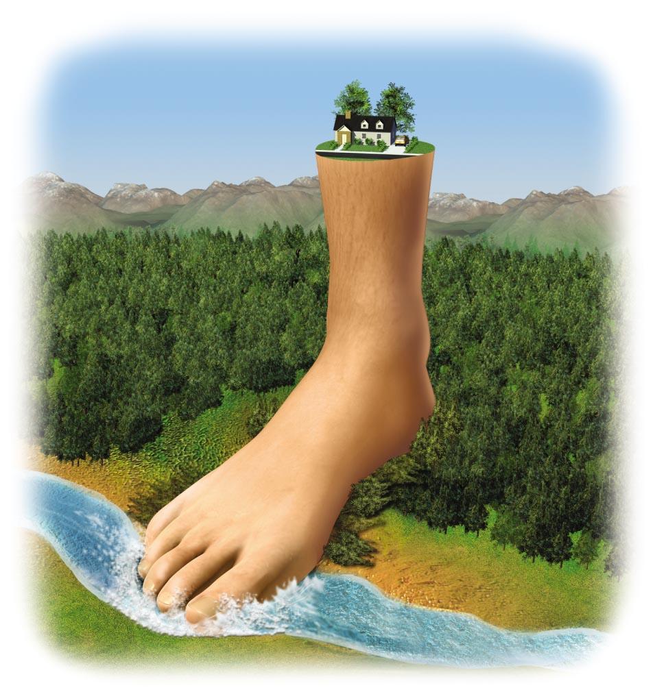 The ecological footprint The environmental impact of a person or population - Amount of biologically productive land + water - for raw materials and to