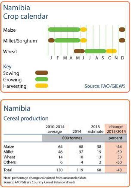 This part of Namibia is experiencing serious drought conditions for the third year in a row, leading to low crop production and reduced livestock herds.
