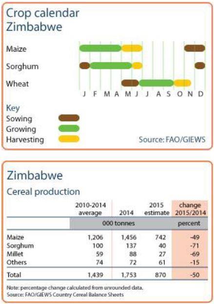 Maize planted areas are estimated to be 30% less than in the 2014-2015 season due to the late start of rains (FAO GIEWS, 08/01/2016) and the ZIMVAC rapid assessment released in late February reports