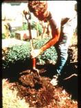 and nutrients, keep soil microbes active Add organic matter to feed your soil microbes Through compost, manures, or other organic materials Get soil test