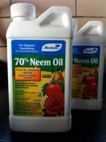 ) Only pesticides allowed for organic production 21 22 Surround(Kaolin Clay) Neem Oil/soap Source: HartwoodFarm.