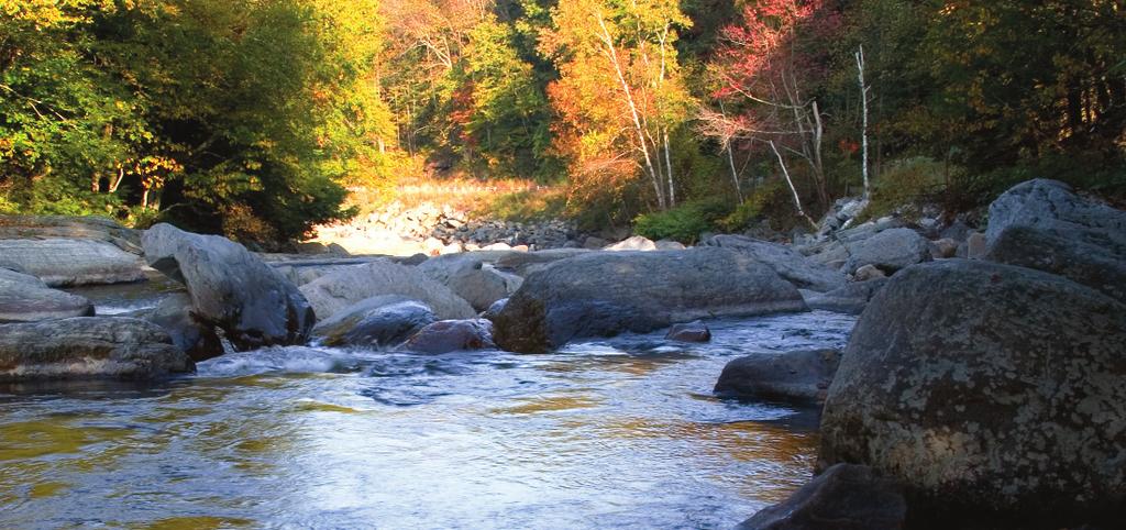 Residents & visitors of Pike County share fond memories of swimming and fishing in our lakes and streams as well as exploring our many forested trails.