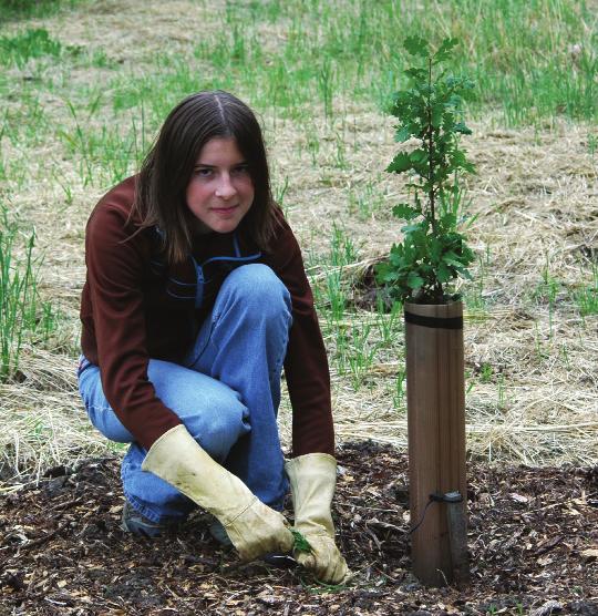 Plant a Tree for Future Generations Trees are perhaps one of Pike County s most important resources. Our publicly and privately owned forests support our communities in many ways.