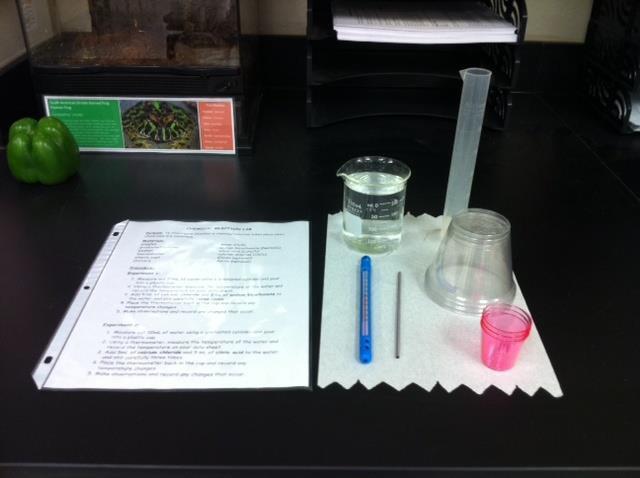 CHEMICAL REACTIONS LAB The lab