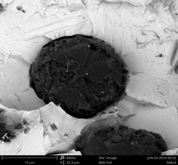 3 Fig. 4. Spheroidal graphite, SEM. Alloy No. 1 In all three cases the nodular graphite precipitations on analysed fractures were shown.