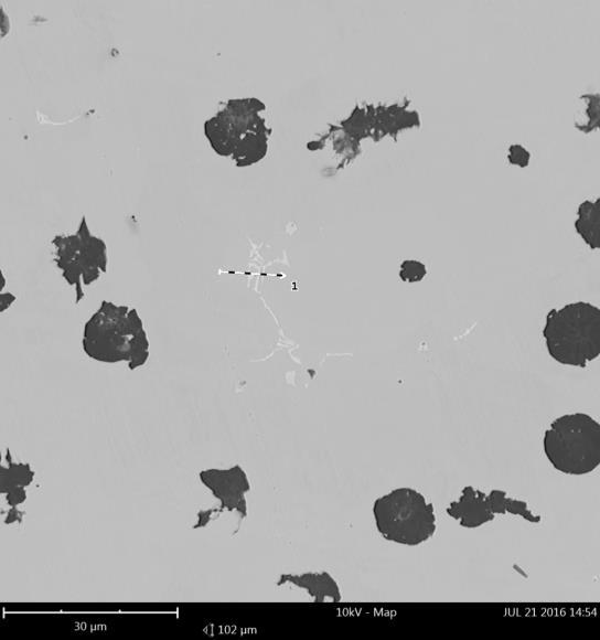 1 (with no added Mo) in analyzed microstructure the nodular graphite precipitations were found in the homogeneous ferritic matrix.