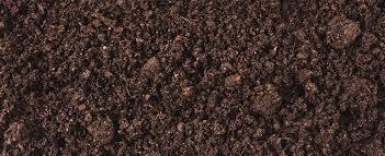 Soil You are currently a carbon atom within the soil. 1 Go to decomposers. Your carbon atom was taken up by a decomposers through consumption. 2 Go to decomposers.