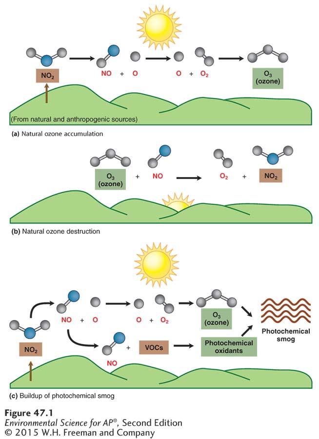 The Chemistry of Ozone and Photochemical Smog Formation Tropospheric ozone and photochemical smog formation. (a) In the absence of VOCs, ozone will form during the daylight hours.