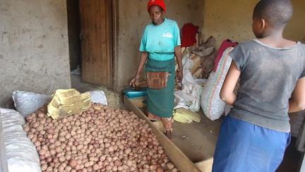 West Rwanda) for potatoes trade where prices