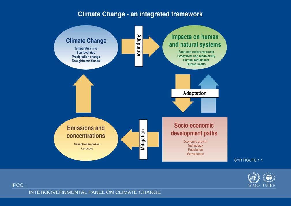 Climate Change Adaptation & Mitigation Adaptation =