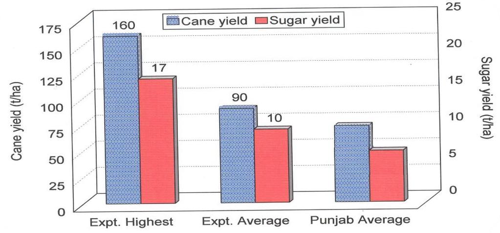 Cane & Sugar Yield Gap in Experimental and Average Yield / Recovery in Punjab Impact of Better Management Practices Varieties 10% Deep tillage 10% Trench planting 15% Autumn planting 10% Spring