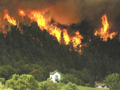 Excess Energy Stored in Colorado s Vegetated Ecosystems Ecological Fire Workload =1,154,167