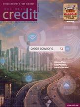 Each issue features articles on a specific topic including business law, best practices,