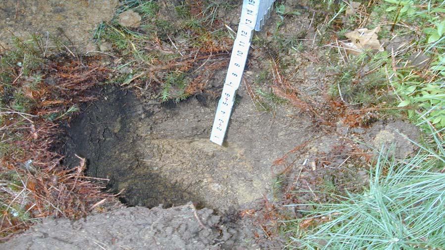 Decline Associated with Shallow Soil Restrictions (<30cm) Plow