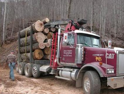 Next Steps: Bid Process and Timber Contract Key Considerations: Bid process is recommended for
