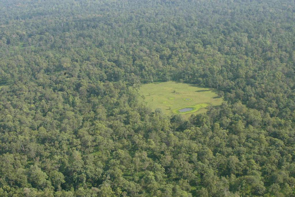 Example 3: Wet grasslands in Cambodia Western Siem Pang forest, with a characteristic wet meadow and pool (trapeang), of critical importance for some of the rarest species 5 globally critically