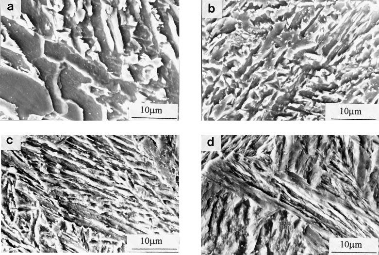 168 DETERMINATION OF CCT DIAGRAMS Vol. 40, No. 2 Figure 3. SEM photomicrographs (2000X) for samples cooled at rates of (a) 1, (b) 6.3, (c) 33 and (d) 100 C/s.