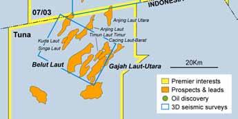 and Oligocene reservoirs in fault dependent closures Belut Laut prospect is