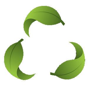 Establish recycling programs through city parks and facilities Support the adoption of an ordinance requiring that demolition projects recycle at least 25% of the material generated Reduce waste by