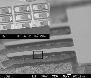 FIGURE 3: SEM image of cantilever actuator made from nanotube/su8 polymer, Inset: arrays of the cantilever structure that was released.