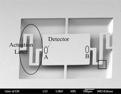 (b) SEM image of lines of SU8/nanotube patterns, (c) SEM image of the opening of the gripper, (d) SEM image of a single line showing SU8