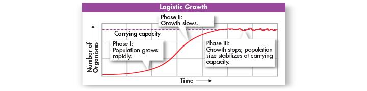 5.1- How Populations Grow Logistic Growth: a population s growth slows & then stops, following exponential