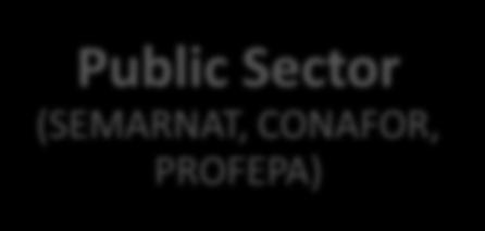 Public Sector (SEMARNAT, CONAFOR, PROFEPA) Forest Technical Advisors Forest Producers Private Sector SECTORS INVOLVED Legal framework and enabling conditions.