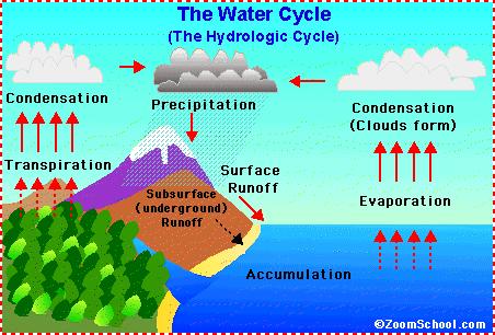 The Water Cycle Condensation Evaporation Transpiration Precipitation