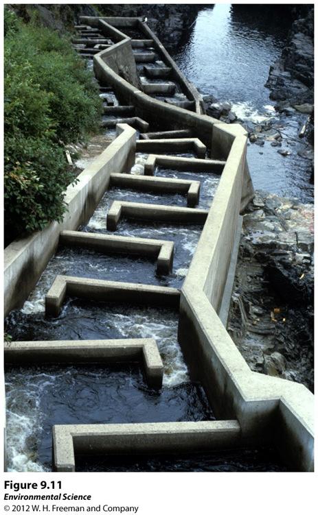 Altering the Availability of Water Dams Interruption of natural flow of water to which organisms are adapted.