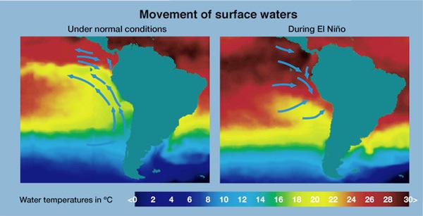 Hypolimnion- deeper water and cold Ocean currents Surface winds and heating create
