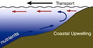 Currents = the upper waters of the ocean composed of vast riverlike flows Caused