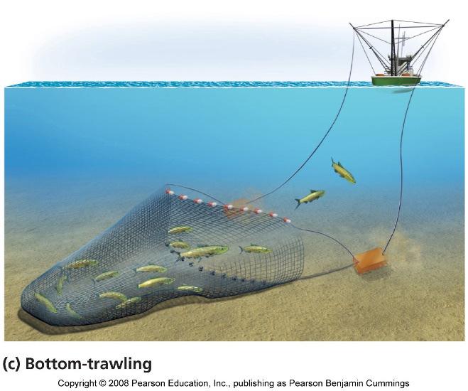 technologies to capture fish in huge volumes Driftnets for schools of