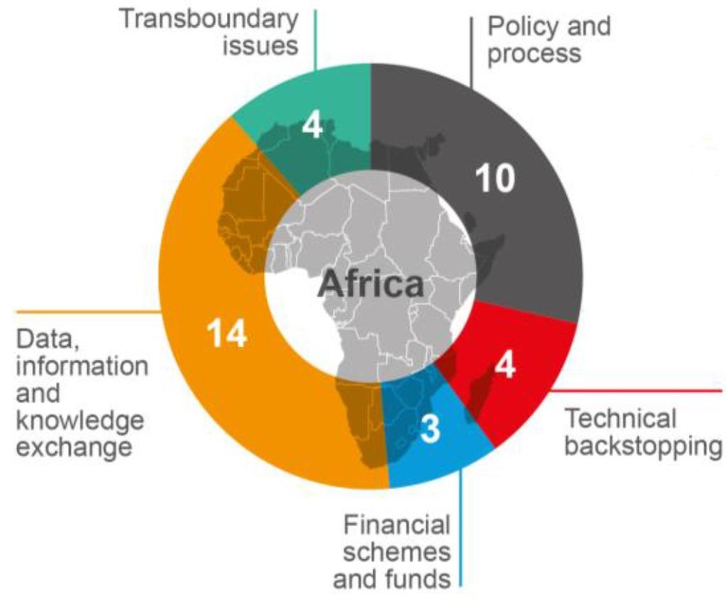 AFRICA The majority of institutional arrangements focus on policy and process which include action plans for implementation or formal and binding pan-african agreements.