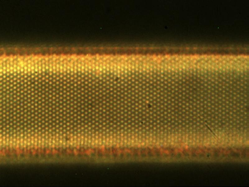 nanoarray (top: low mag optical
