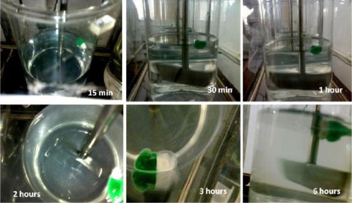 Hydrodynamically balanced system for theophylline delivery Figure 1: In vitro floating behavior of theophylline HBS capsules (F-7) in simulated gastric fluid, ph 1.2.